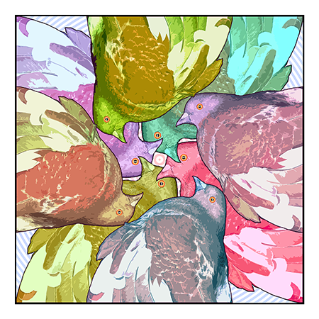 colorful pigeons